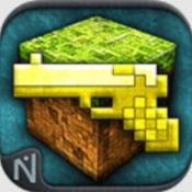 枪的世界中文版