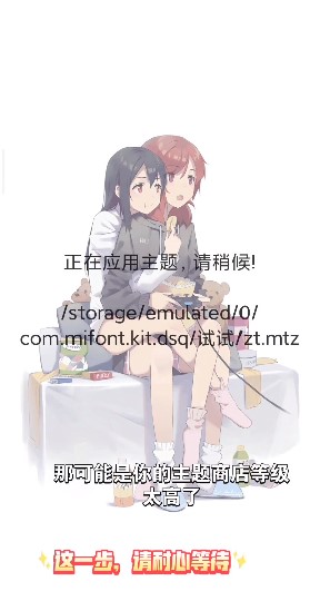 小米主题安装器pro2025截图3