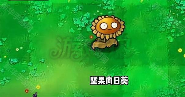 植物大战僵尸杂交版3.1