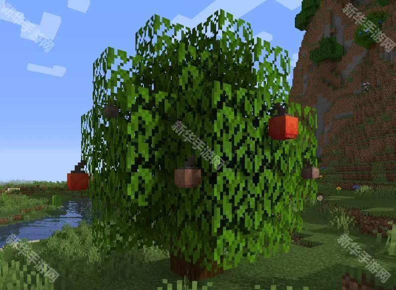 我的世界方可梦