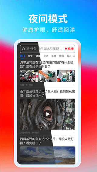 飞觅浏览器极速版