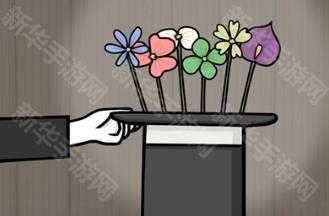 兔子先生的魔术秀