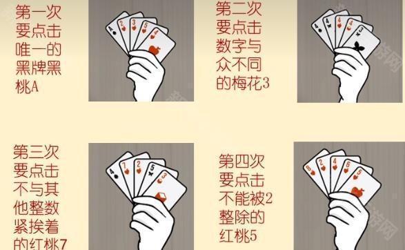 兔子先生的魔术秀