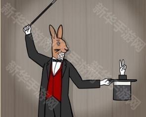 兔子先生的魔术秀
