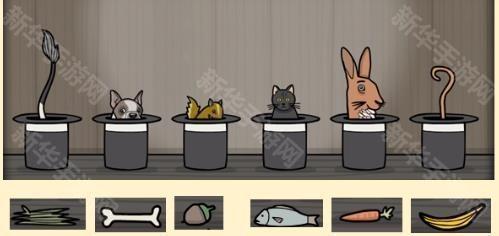 兔子先生的魔术秀