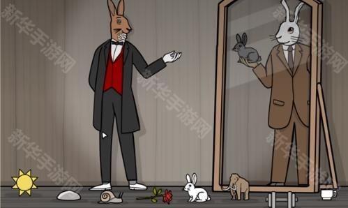 兔子先生的魔术秀