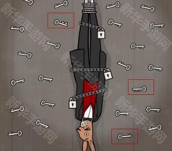 兔子先生的魔术秀