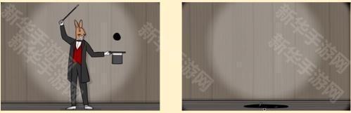 兔子先生的魔术秀