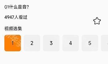 歌唱音调仪图片6