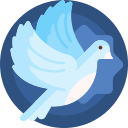 白鸽软件报新版