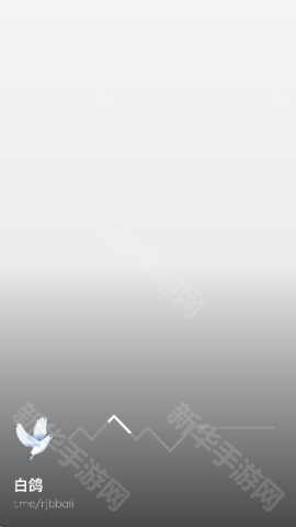 白鸽软件报新版