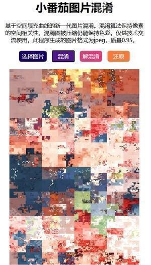 小番茄混淆操作教程3