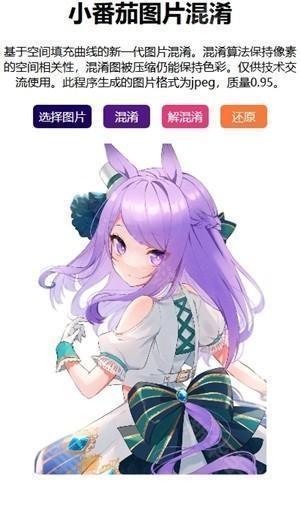 小番茄解图片混淆怎么解图片混淆3