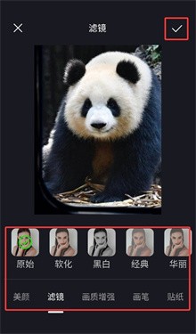 小番茄图片混淆