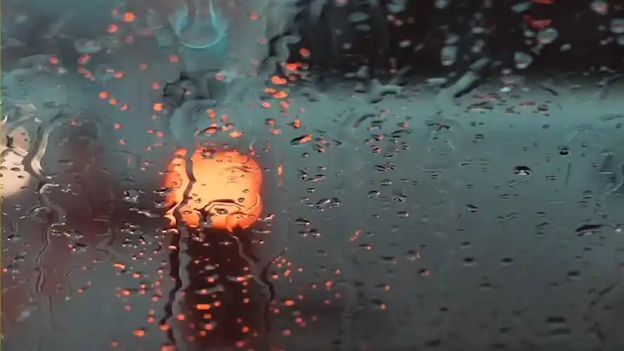 小番茄图片混淆