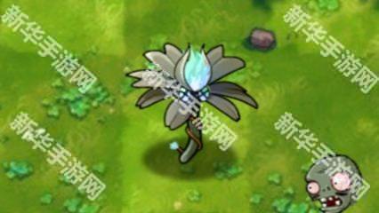 植物大战僵尸融合版3.1版本