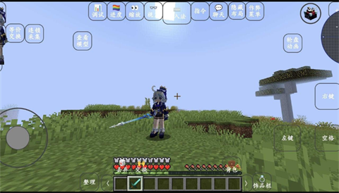 我的世界是史蒂夫模组