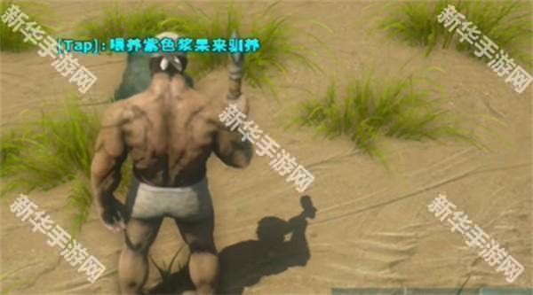 方舟终极创世纪