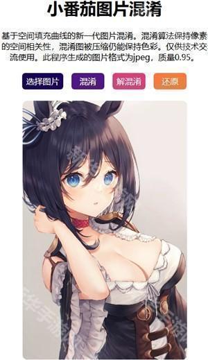 小番茄图片混淆netlify