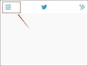 推特官网版twitter解除内容限制