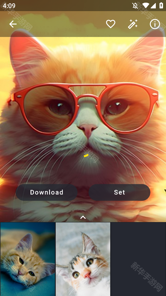wallspic壁纸官方版