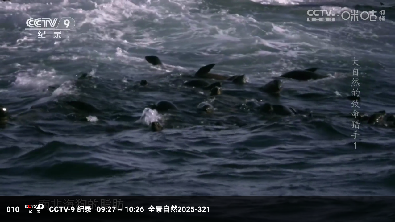 冰茶蜂蜜(免费追剧)截图4