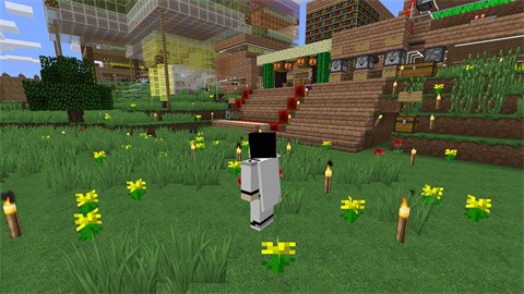 我的世界模拟人生截图3