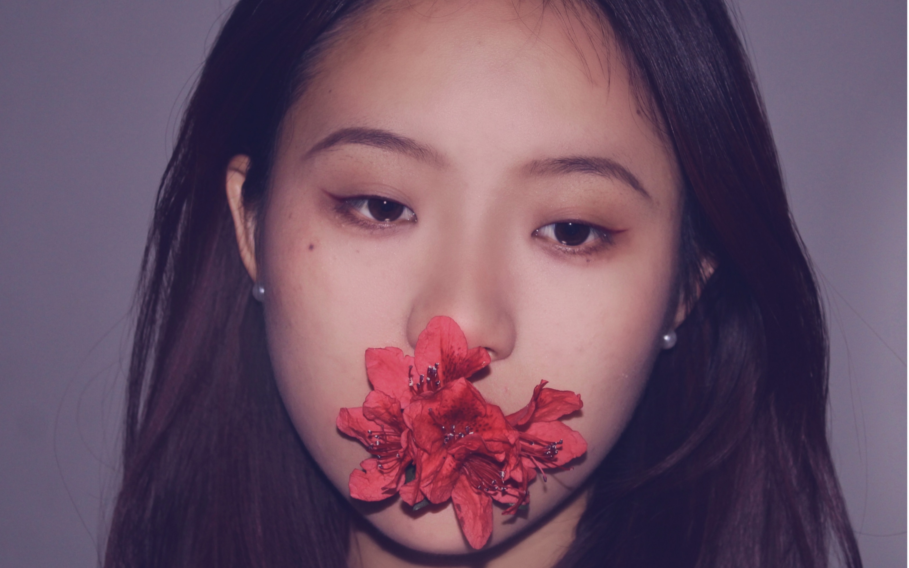 facetune所有版本合集