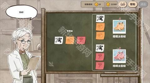 卡玛鲁青蛙庇护所