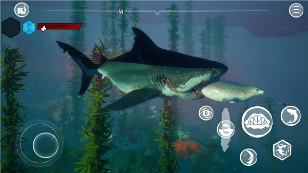 食人鲨游戏手机版