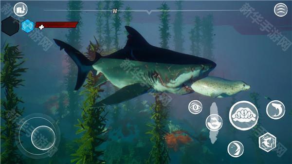 食人鲨游戏手机版