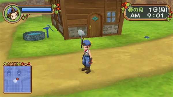 牧场物语蜜糖村