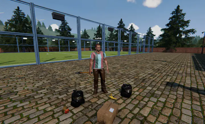 足球场模拟器截图3