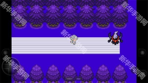 口袋妖怪生与死