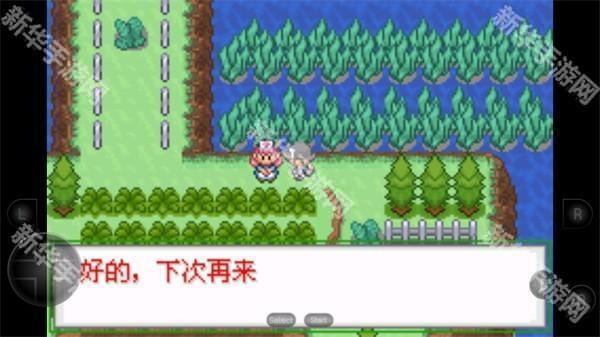 口袋妖怪生与死