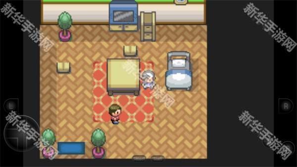 口袋妖怪生与死