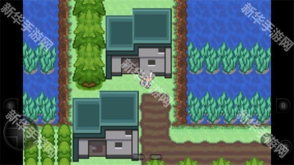 口袋妖怪生与死