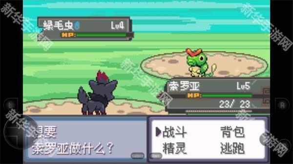 口袋妖怪生与死