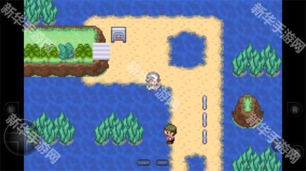 口袋妖怪生与死