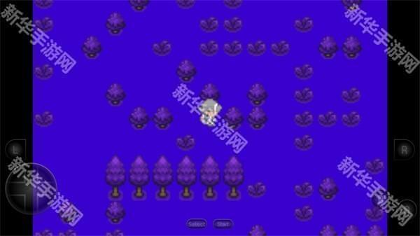 口袋妖怪生与死