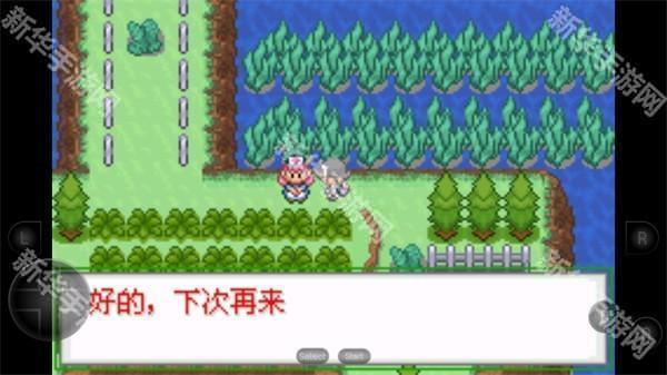 口袋妖怪生与死