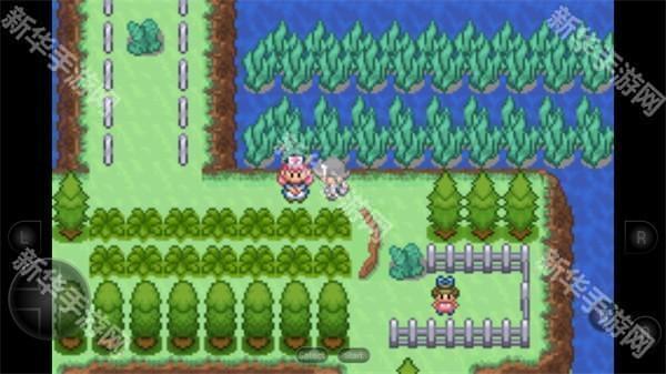 口袋妖怪生与死