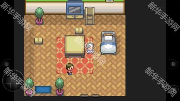 口袋妖怪生与死