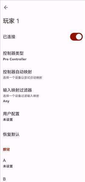 怎么导入游戏配图14