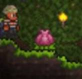 泰拉瑞亚皮皮蛙汉化版1.4.4.9