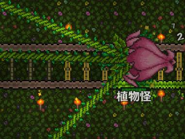 泰拉瑞亚皮皮蛙汉化版1.4.4.9