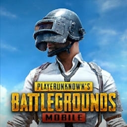 怕不鸡pubg