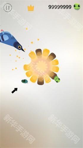 pigeon疯狂的鸽子