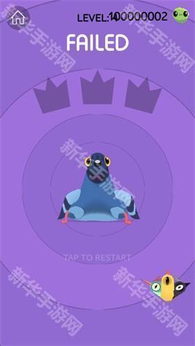 pigeon疯狂的鸽子