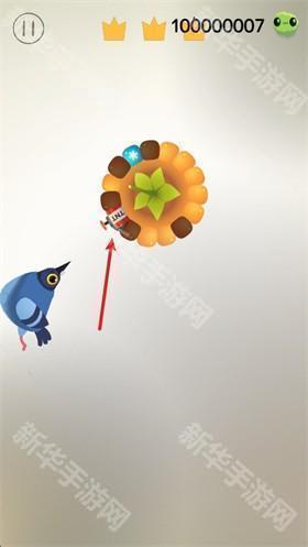 pigeon疯狂的鸽子